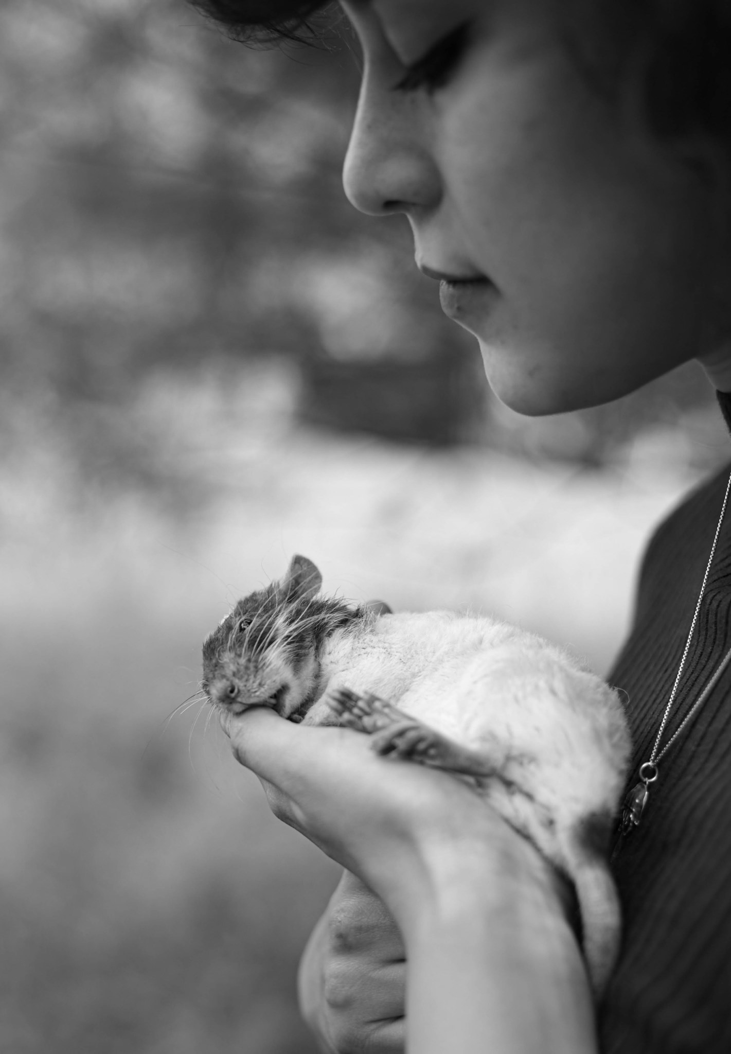 Holding rat