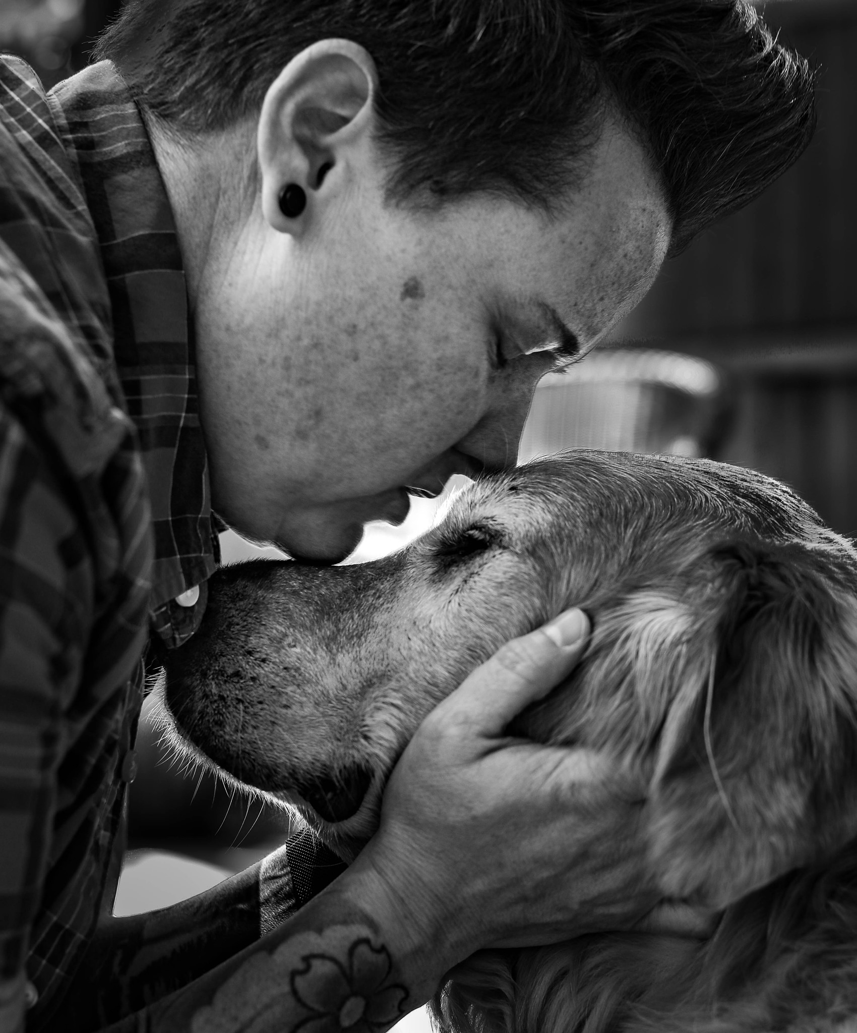 Kissing dog