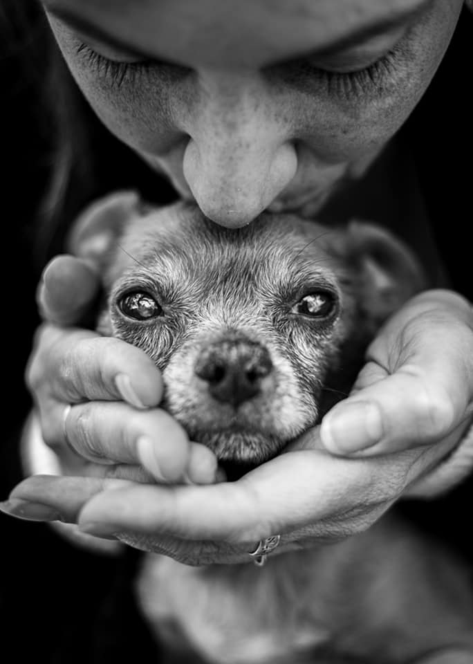 Kissing dog