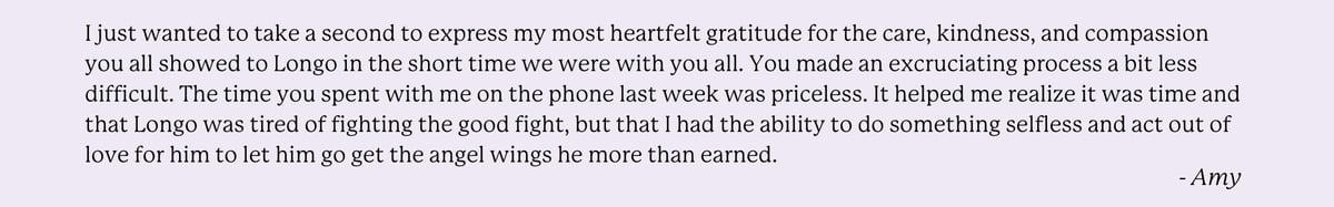 Hospice-testimonial (1)